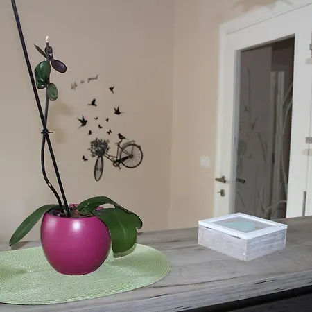 아파트 Orchid House 베오그라드